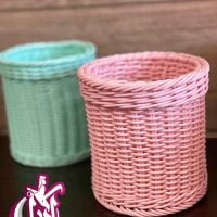sales-basket-paniz-amiran