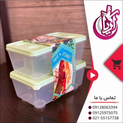 فروش نیو پلاست فریزری دو عددی-تصویر اصلی آریا 