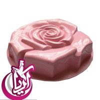 sell-mold-plastic-cake