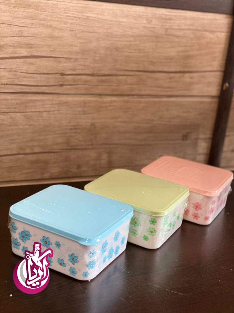 sale-container-freezer-printed-with-bora-pic-2